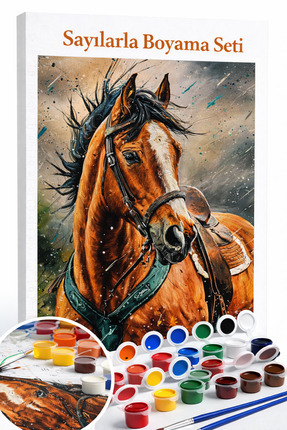 Aren Design Sayılarla Boyama Çerçeveli Hobi Seti Numaralı Tuval Fırça Boya Da...