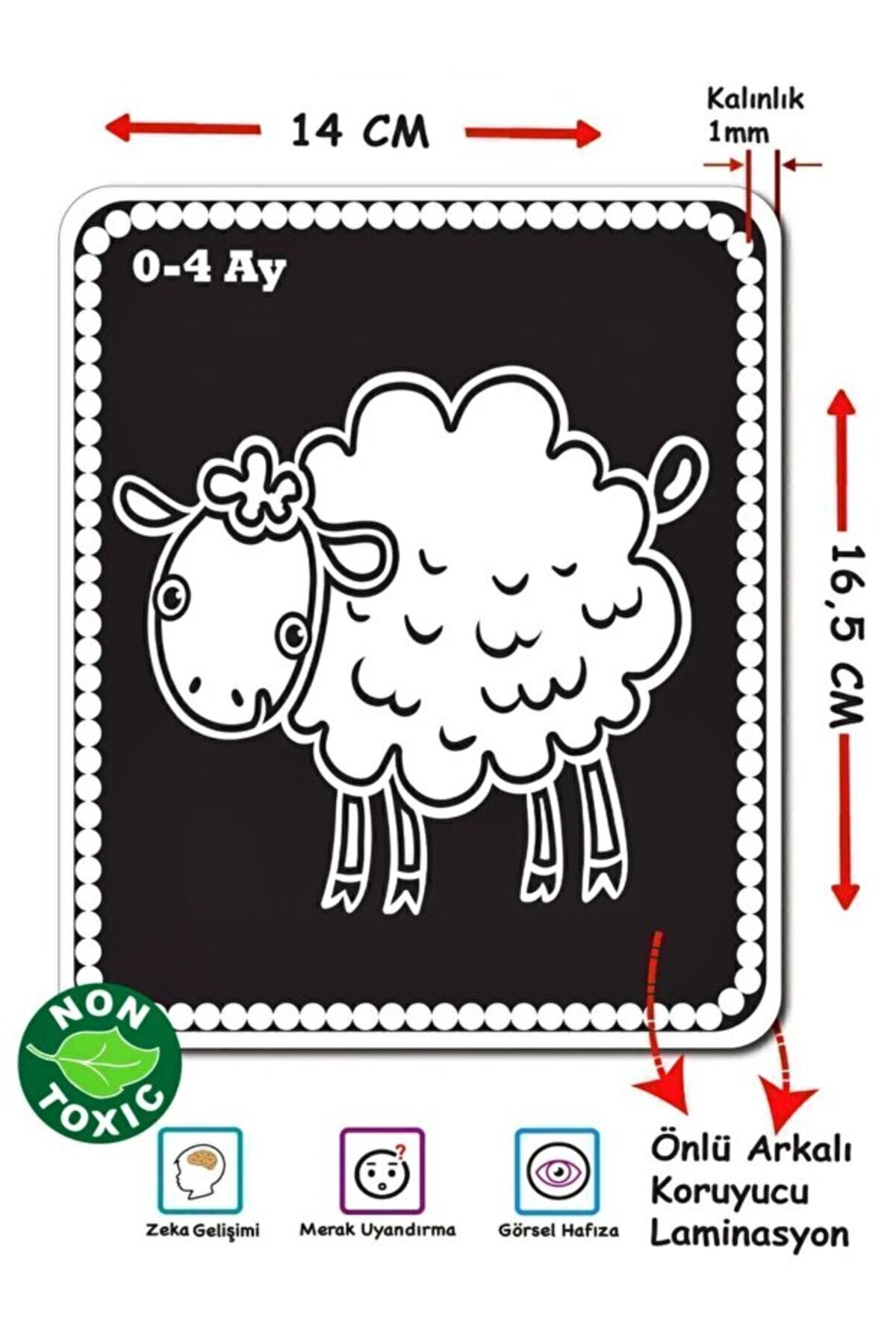 TREND Bebeğimin İlk Zeka Kartları Flash Kart Seti – Eğitici Öğretici Erken Gelişim Kartları fotoğrafı 6 (önizleme)