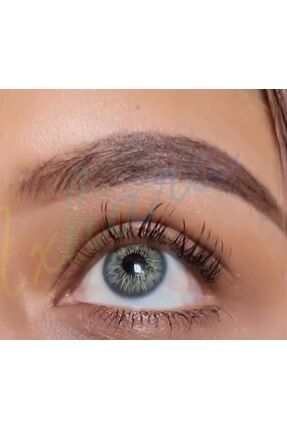 Axhara Newyork Zenith Gray Gri Renkli Göz Kirpik Lens Yıllık