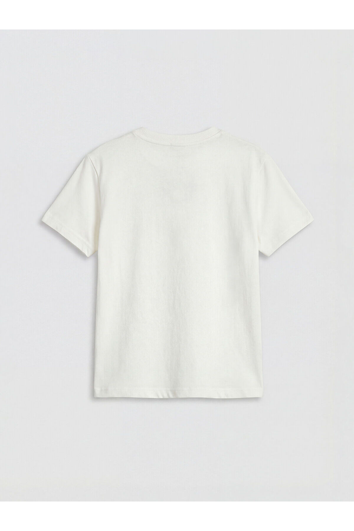 LC Waikiki Elsiva Collection Ekru Baskılı Erkek Çocuk Tişört ve Şort fotoğrafı 3 (önizleme)