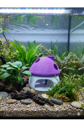 3D Tasarım Mor Beyaz Mantar Ev - Akvaryum İçi Estetik Dekorasyon (8x8 cm) Suy...
