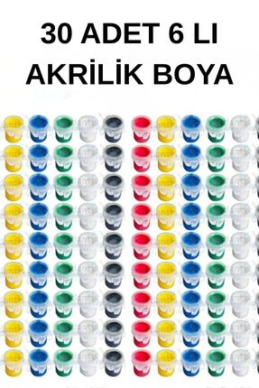 everart 30 adet Akrilik Boya 6 Renk Etkinlik Boyama , Tuval, Workshop, Taş Bo...