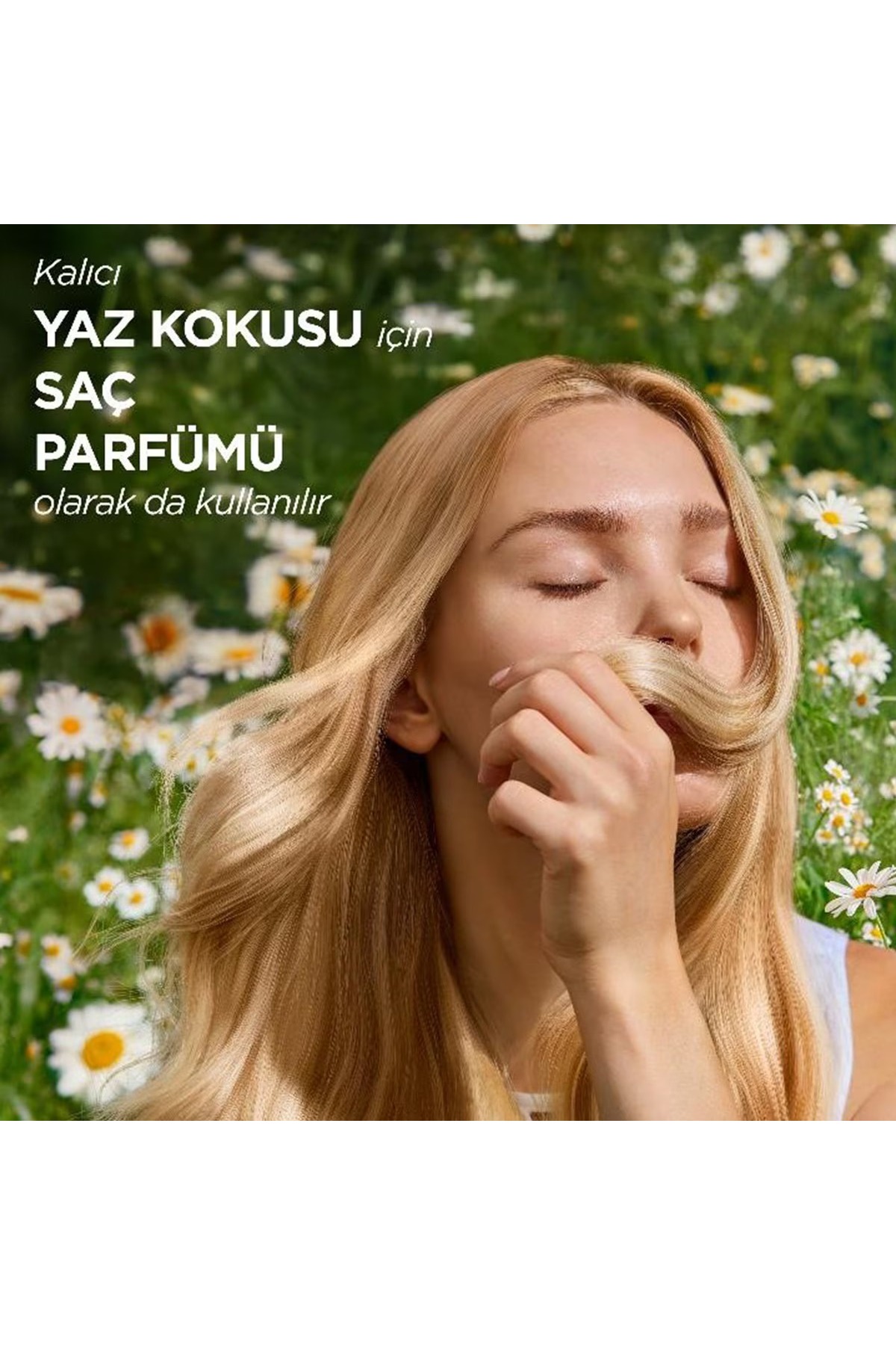 اسپری موی سری بابونه ۱۴۵ میلی‌لیتری — EMA7233256 — تصویر 5 از 6