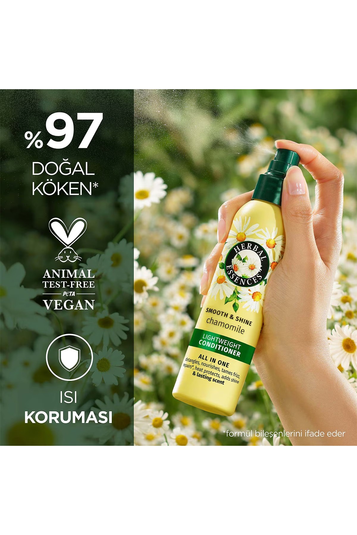 اسپری موی سری بابونه ۱۴۵ میلی‌لیتری — EMA7233256 — تصویر 4 از 6