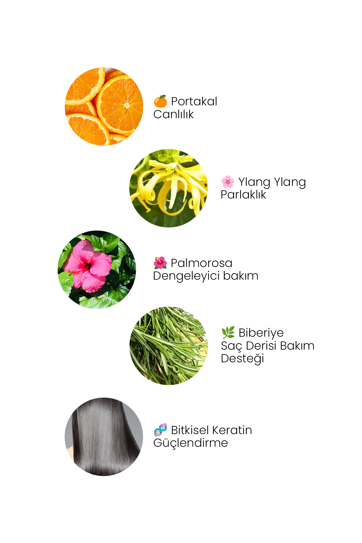 اسپری مراقبت از مو با شیر کراتین رزماری MD Beauty، ترمیم کننده و تقویت کننده بدون نیاز به آبکشی، 100 میلی لیتر — MD1261 — تصویر 4 از 5