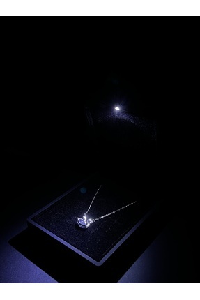 ZARDEX Işıklı Hediye Kutulu Kadın Kolye – Premium Zarif Tasarım Koleksiyonu