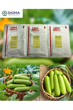 Lora LRS-600 F1 Hibrit Kabak Tohumu 500 adet