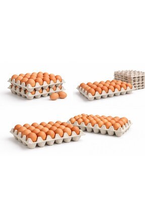 Kalite Meraklıları (100 Adet)30'lu Karton Yumurta Viyolü (100 Adet 17lbs)- Vi...