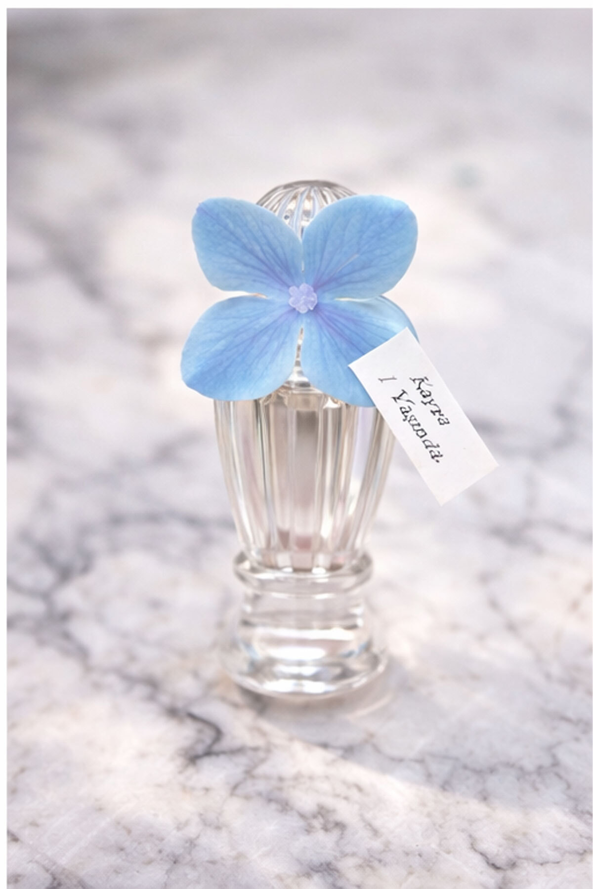 MayaArtDesign (25 ADET) Islak Dokulu Mavi Ortanca Çiçekli 50cc Mika Şişe Limon Kolonyası Hediyelik fotoğrafı 4 (önizleme)