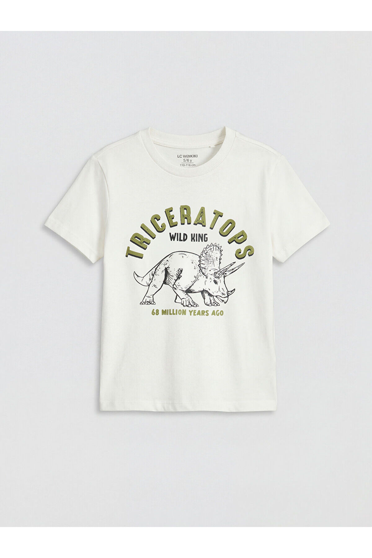 LC Waikiki Elsiva Collection Ekru Baskılı Erkek Çocuk Tişört ve Şort fotoğrafı 2 (önizleme)