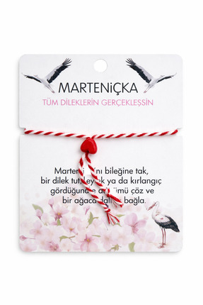 stainles steel Marteniçka Şans Bilekliği 3lü Set