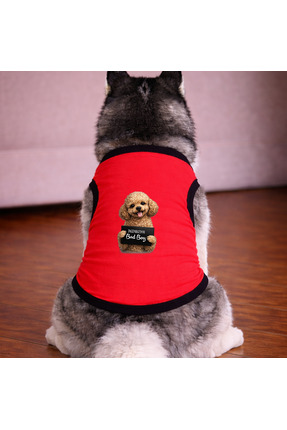 petite pati Kirmizi Wanted Poddle Köpek Tshirt Köpek Kıyafeti (%100 Pamuk Pen...