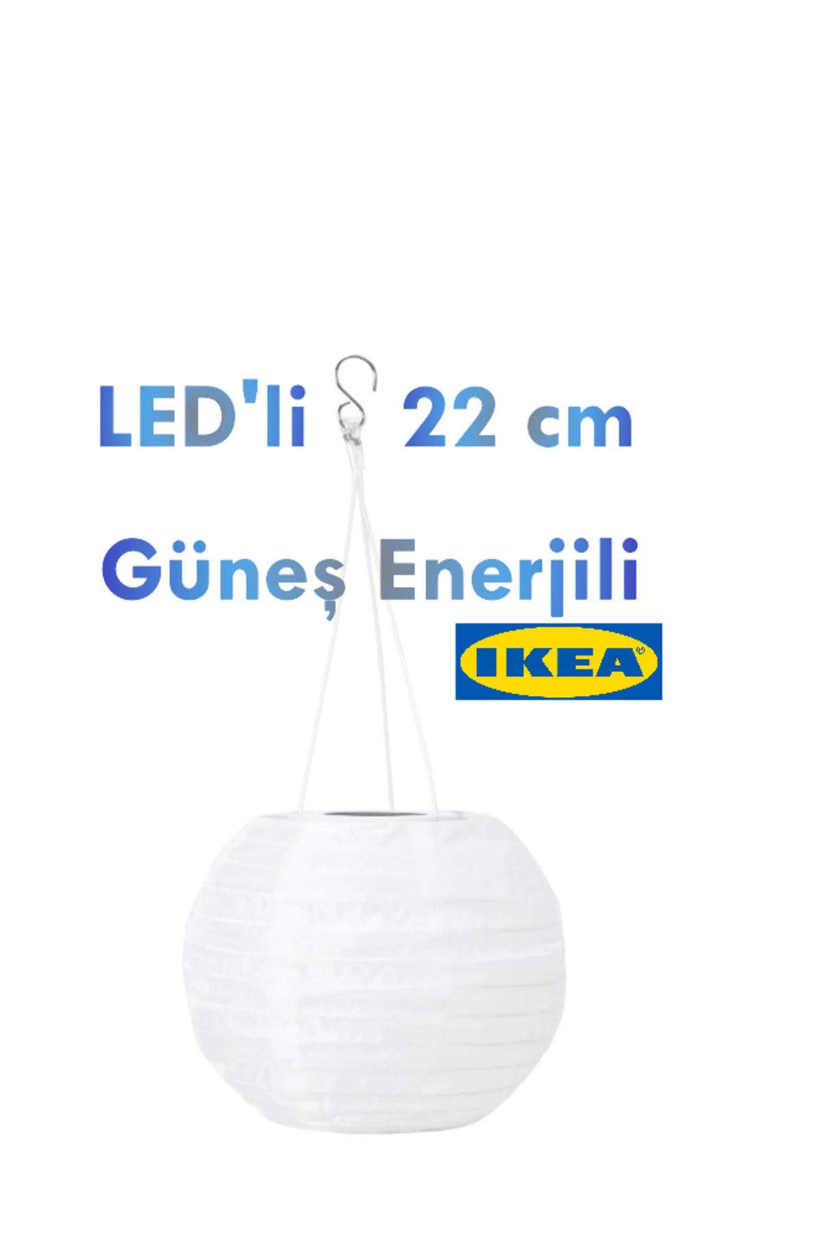 1_org_zoom.jpg