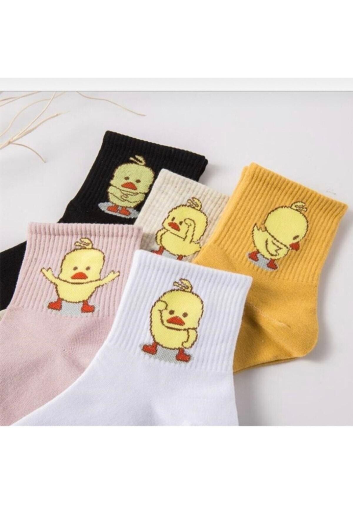 çorapkolik 5 Çift Unisex Renkli Çeşitli Desenli Yıkamalı Civciv Kolej Tenis Çorap görsel 6