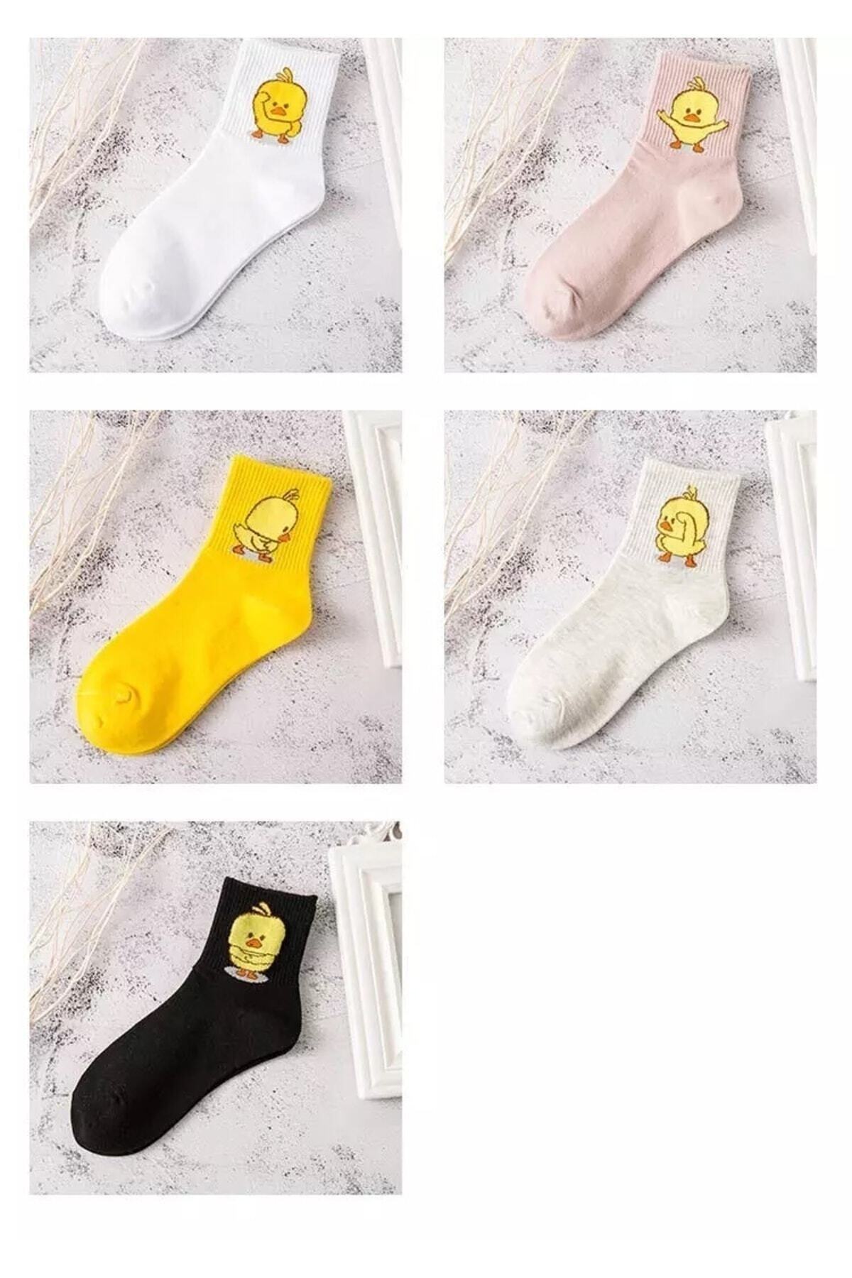çorapkolik 5 Çift Unisex Renkli Çeşitli Desenli Yıkamalı Civciv Kolej Tenis Çorap görsel 8