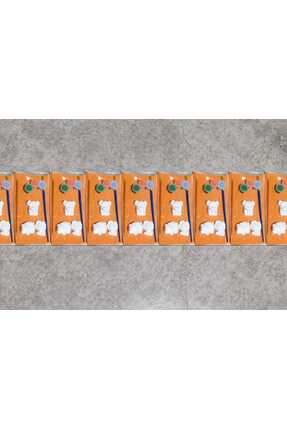 HanımeliAtölyesi MİNİ HAYVANLAR BOYAMA SETİ (3'LÜ) & 10 PAKET GÖNDERİM