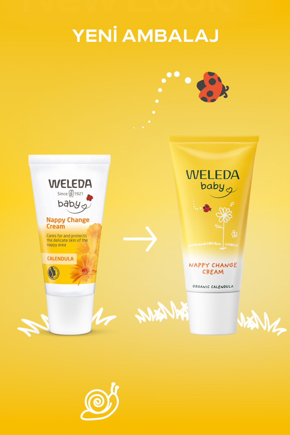 Weleda Calendula Organik Pişik Kremi 75 ml fotoğrafı 5 (önizleme)