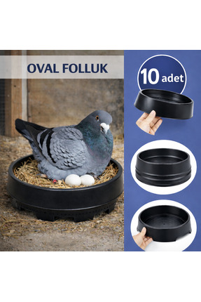 AN-GA AVM Güvercin Yuvarlak Folluk, 10 Adet Oval Güvercin Folluğu Pıgeon Küme...
