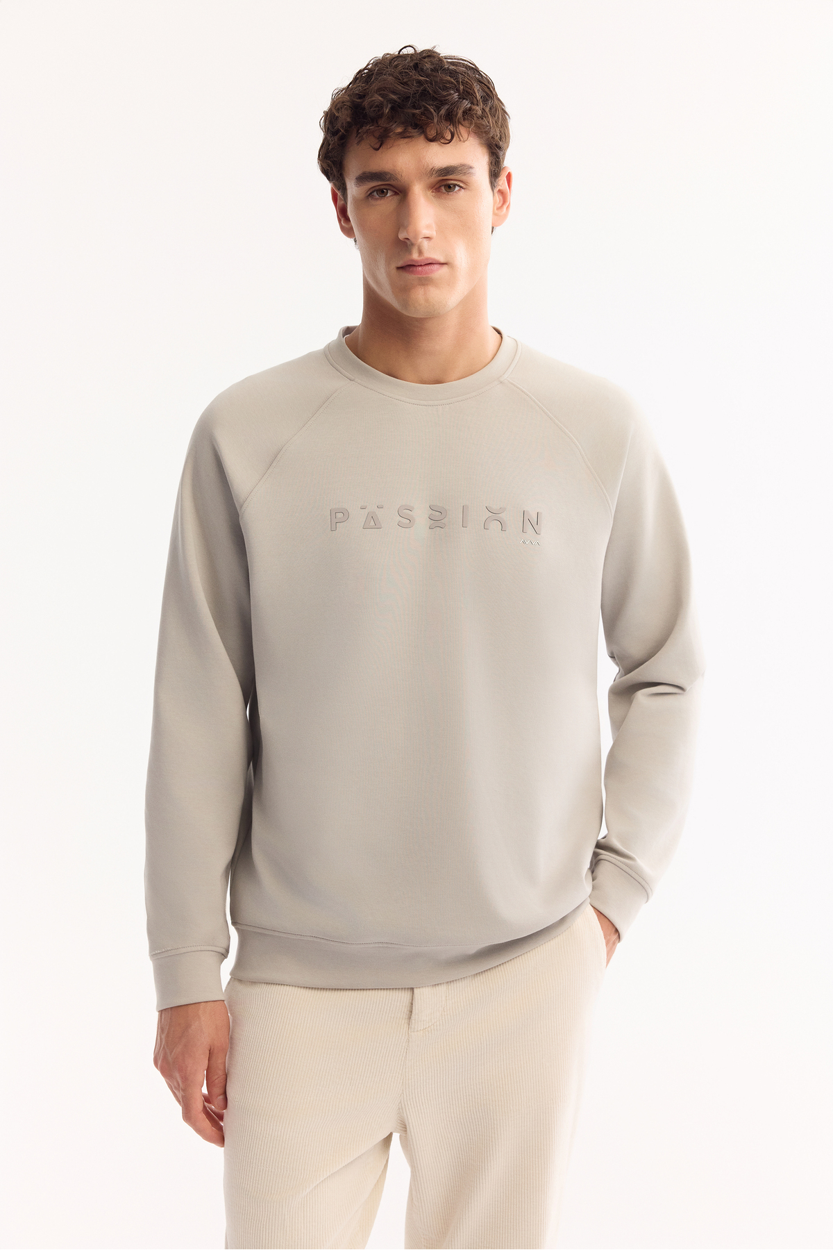 Avva  Erkek Gri Bisiklet Yaka Pamuklu Bi-Stretch Baskılı Regular Fit Sweatshirt A52Y1249 - Görsel 6