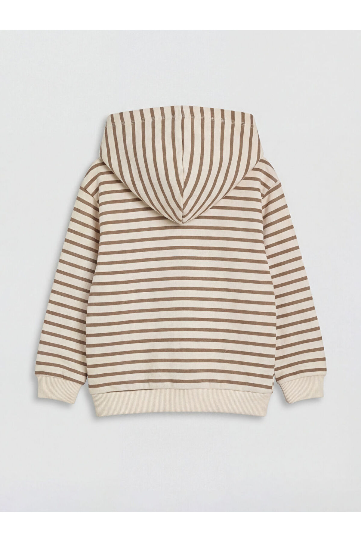 LC Waikiki Bej Kapüşonlu Çizgili Erkek Bebek Fermuarlı Sweatshirt fotoğrafı 2 (önizleme)