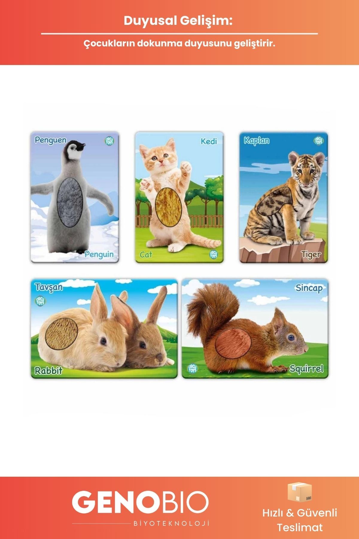 GenoBio Dokun Hisset Tanı Türkçe - İngilizce Hayvanlar Eğitim Kartları Dil Gelişim Eğitici Çocuk Kartları fotoğrafı 2 (önizleme)