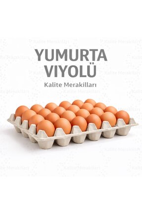 Kalite Meraklıları Kalite Meraklıları(910 Adet) 30'lu Yumurta Viyolü|Karton Y...