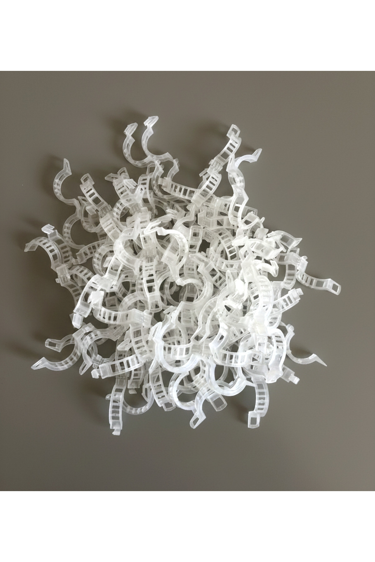 Plant Clip - Tomato Clip 50 Pcs 25mm Body Ivy Plant Tying Clamp
