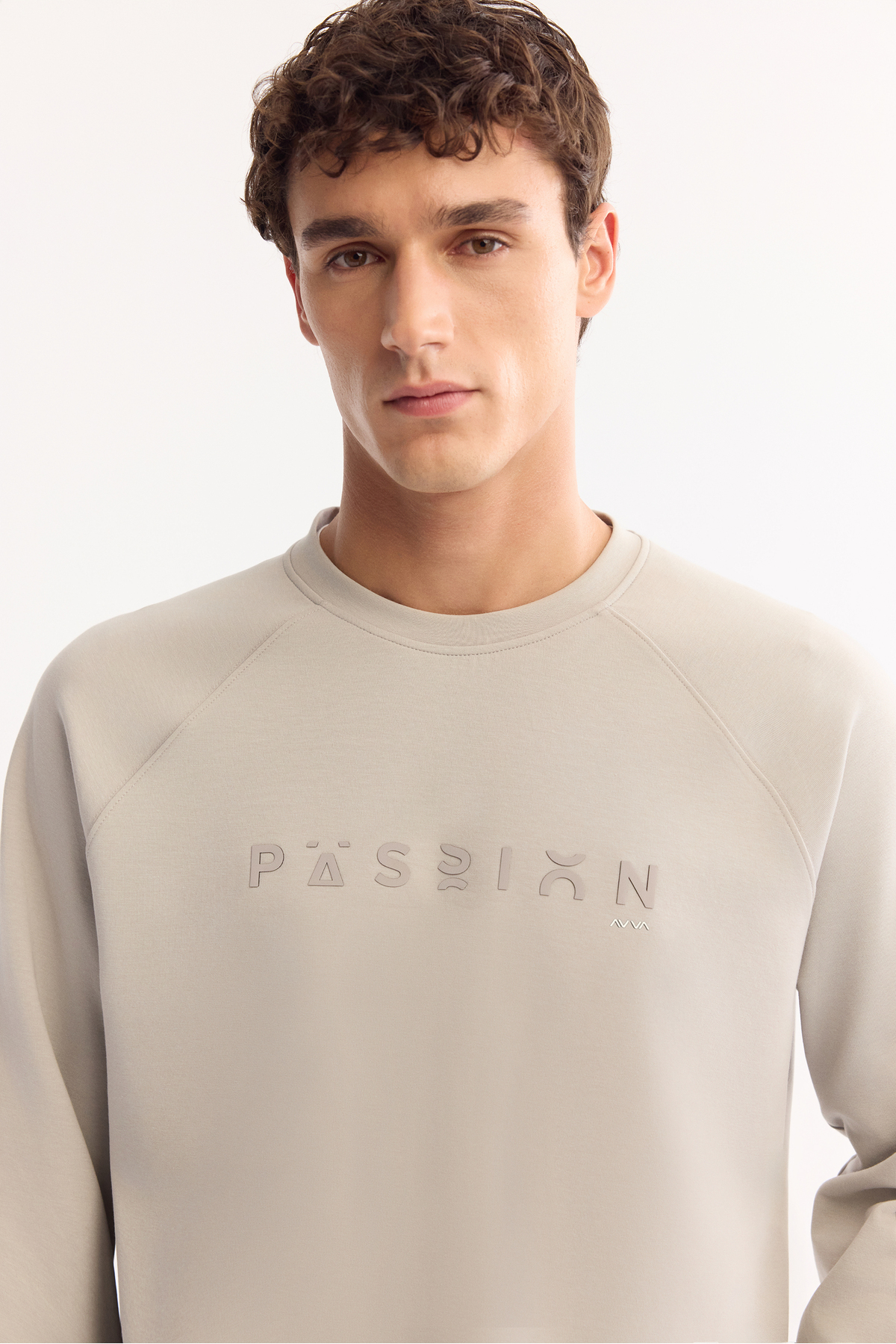 Avva  Erkek Gri Bisiklet Yaka Pamuklu Bi-Stretch Baskılı Regular Fit Sweatshirt A52Y1249 - Görsel 8