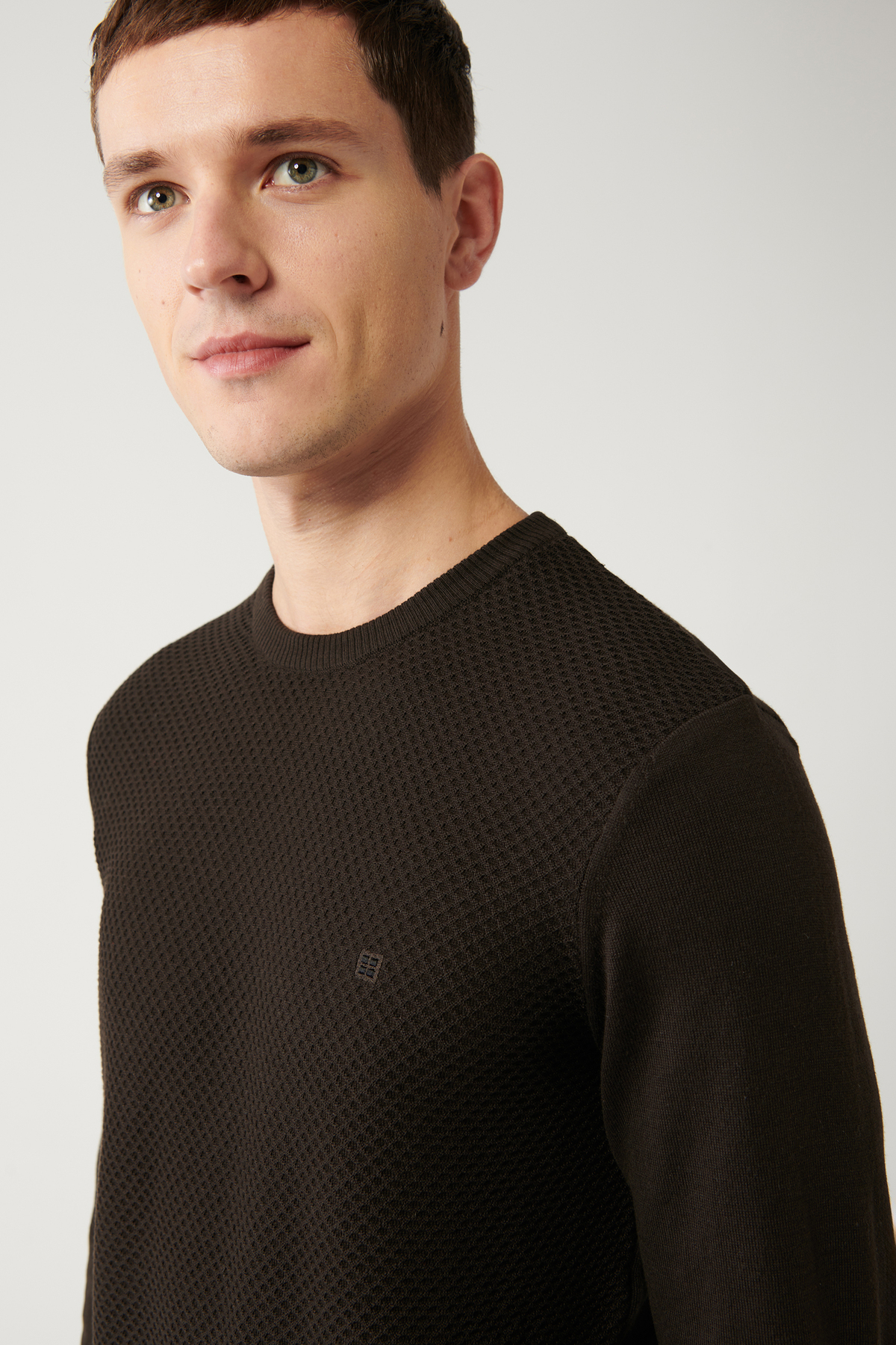 Avva  Erkek Kahverengi Bisiklet Yaka Pamuklu Triko Kazak E005105 - Görsel 2