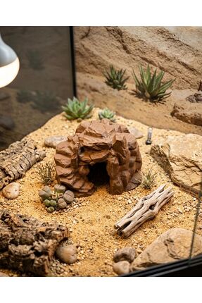 VİONEL Strix Sürüngen Teraryum Mağarası – Gecko / Kertenkele Saklanma Kayası ...