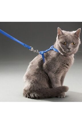 TTT Kedi Boyun ve Göğüs Tasması