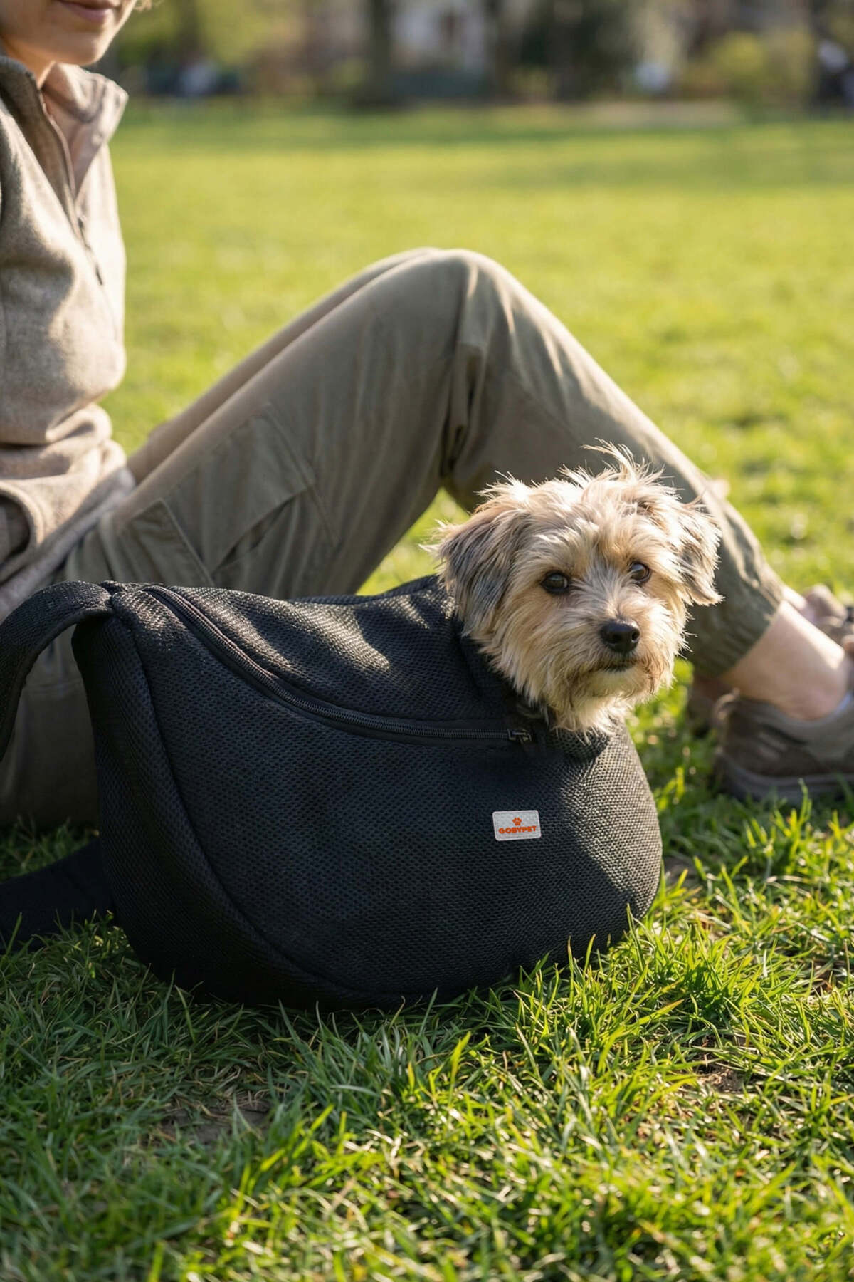GOBYPET Kedi ve Köpekler İçin Kucakta Taşıma Çantası - Fiyatı, Yorumları