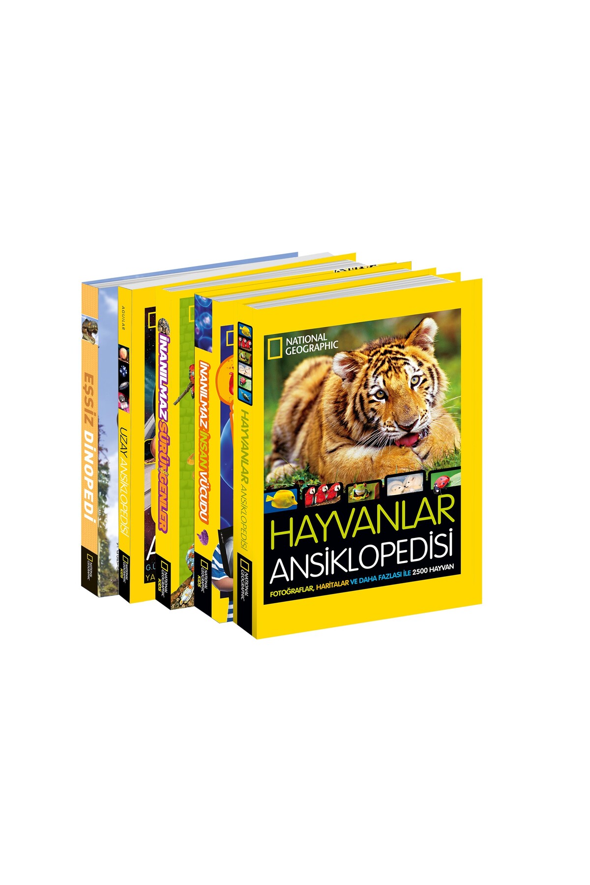 National Geographic Kids Dev Ansiklopedi Seti (5 Kitap) - Fiyatı