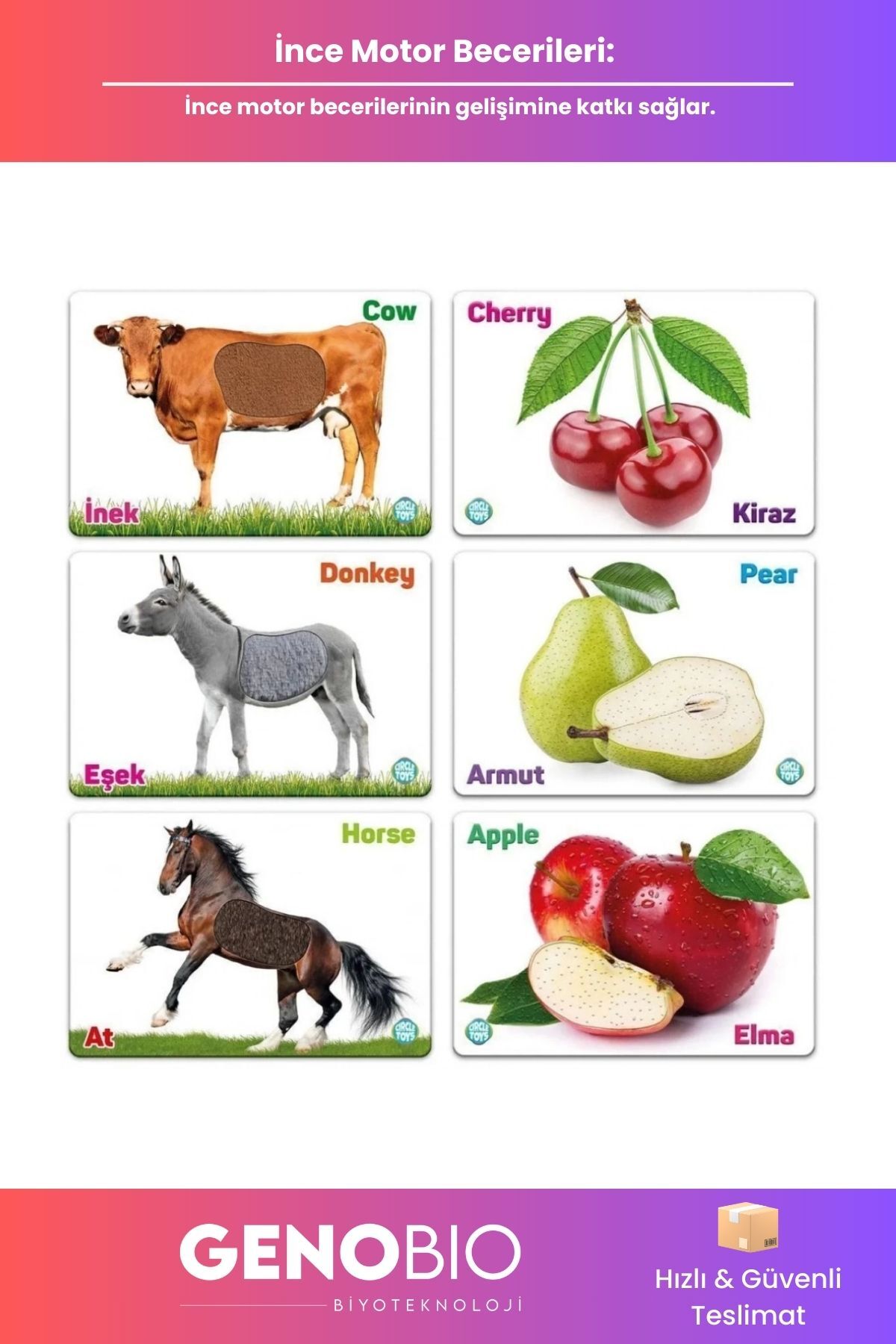 GenoBio Dokun Hisset Çiftlik Hayvanları Meyveler Eğitim Kartları Duyusal ve Dil Gelişim Çocuk Kart Seti fotoğrafı 4 (önizleme)