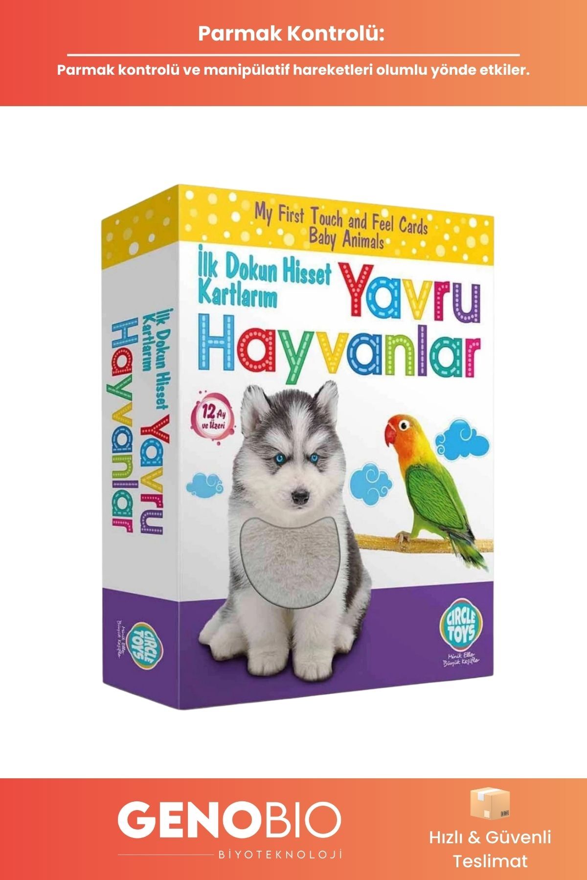 GenoBio Dokun Hisset Tanı Türkçe - İngilizce Hayvanlar Eğitim Kartları Dil Gelişim Eğitici Çocuk Kartları fotoğrafı 3 (önizleme)