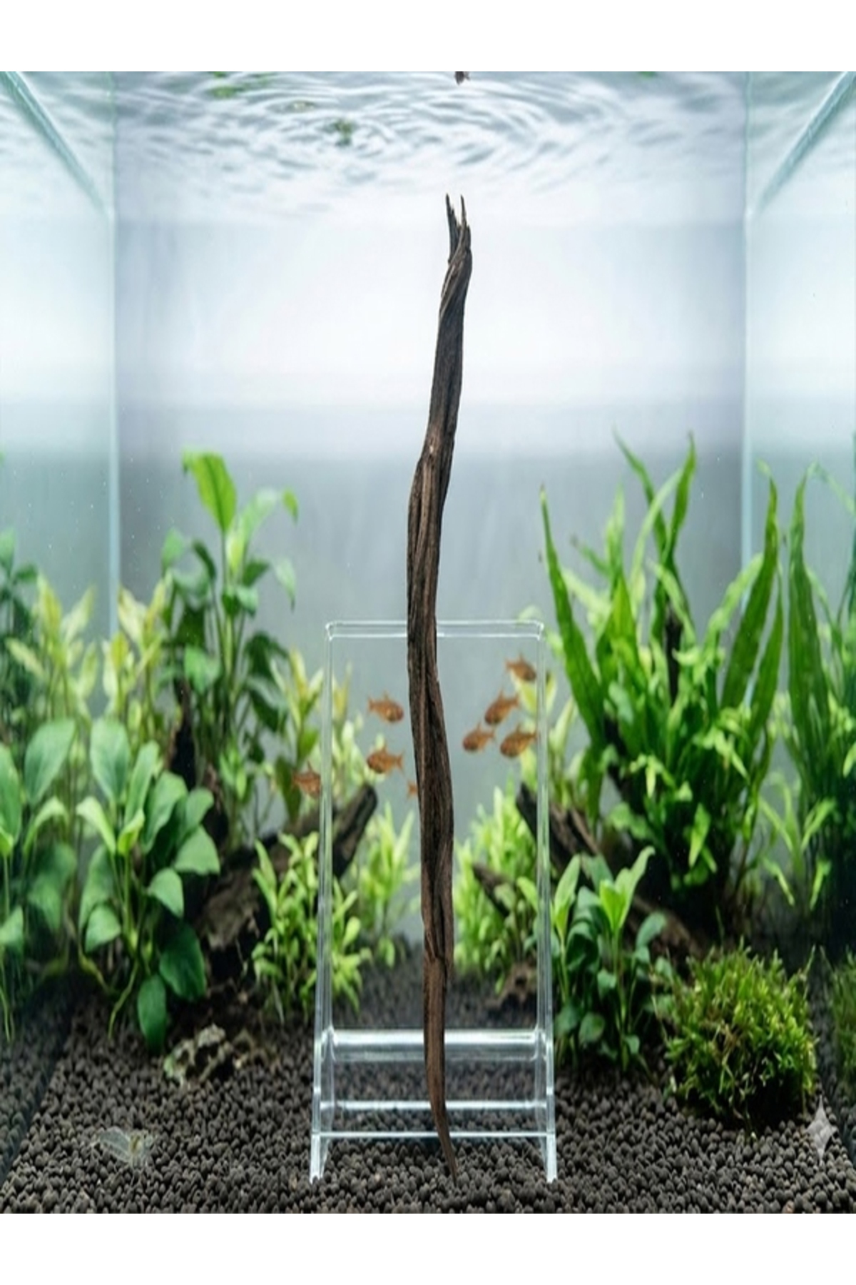 nonamepetshop FLAME WOOD AKVARYUM VE TERARYUM DOĞAL KÖK DEKORU M