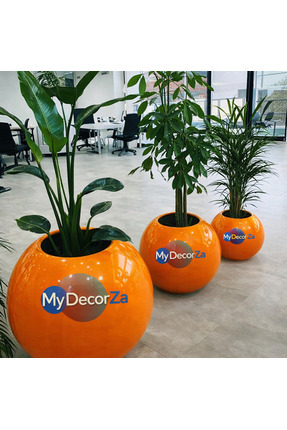 MyDecorZa FİBER BAHÇE VE EV DEKORASYONU KÜRE SAKSI MODELİ (50X50)