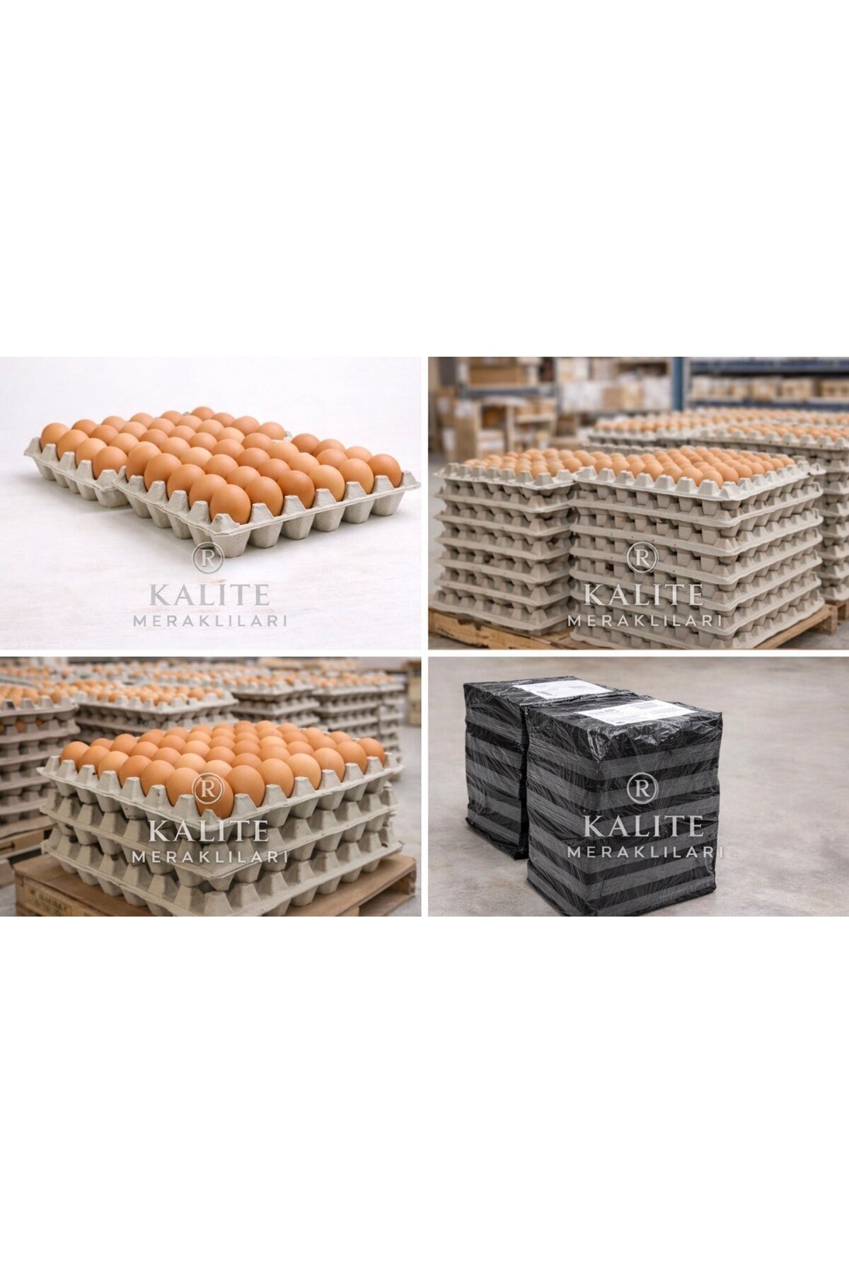 Quality Enthusiasts(18 Pieces) 30 Pieces Egg Violet |Cardboard Egg Violet |Durable Egg Carton
