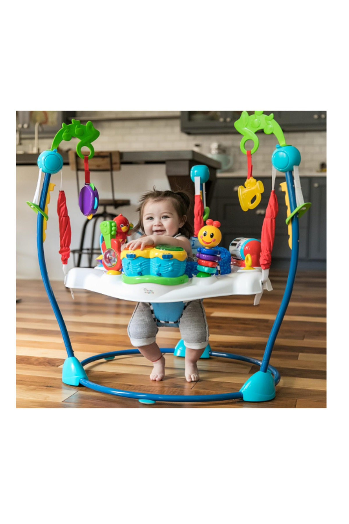 Baby Einstein Neighborhood Symphony Aktivite Bebek Zıplama Merkezi fotoğrafı 2 (önizleme)