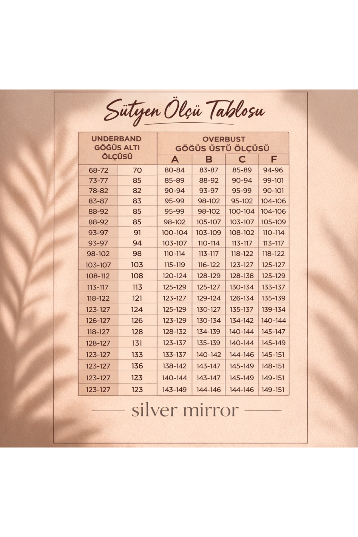 SİLVER MİRROR  Handie Kalpli Brode Destekli Push Up Dolgulu Sütyen Külot Takım - Görsel 5