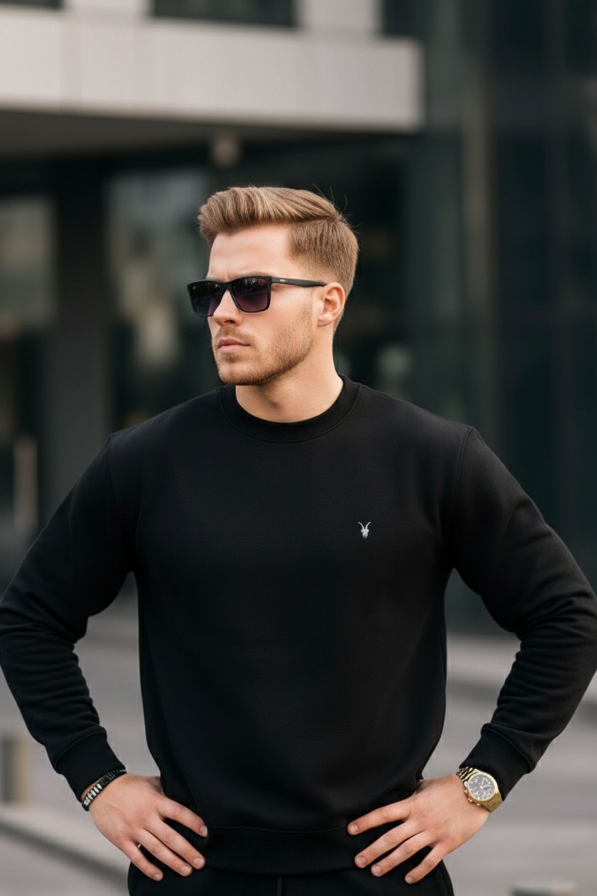 COMBİNE MİCHAİL  Siyah Renk Basic Bisiklet Yaka Relaxed Regular Erkek Sweatshirt - Görsel 4