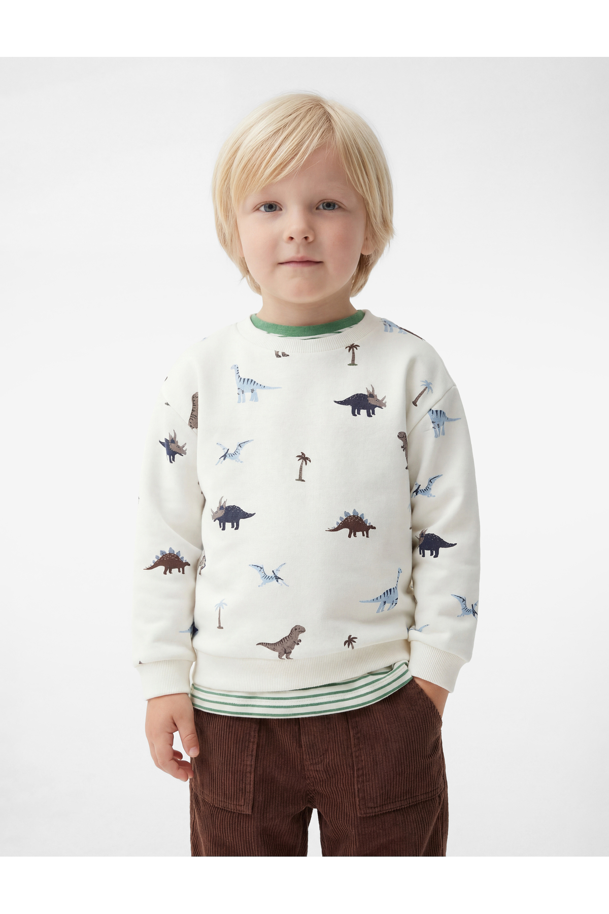 Koton Pamuklu Uzun Kollu Bisiklet Yaka Dinozor Baskılı Sweatshirt fotoğrafı 2 (önizleme)