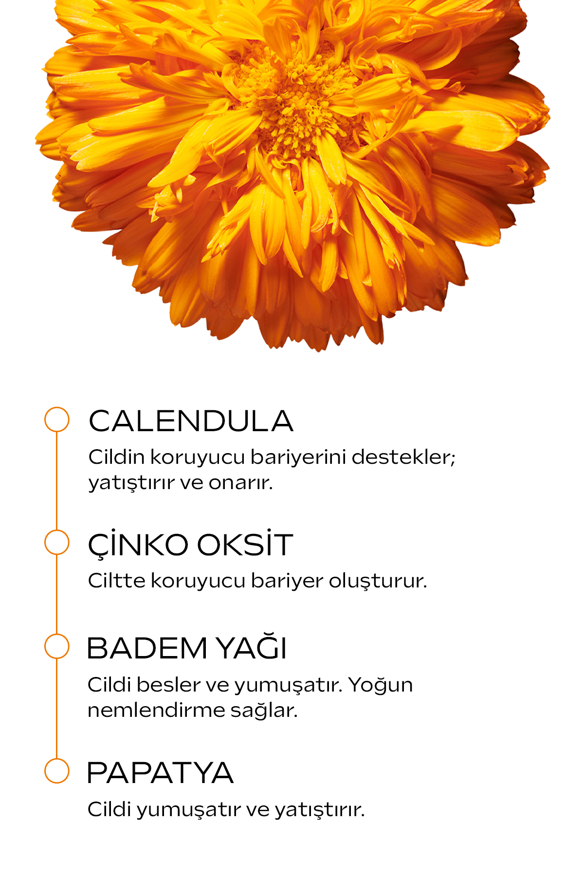Weleda Calendula Organik Pişik Kremi 75 ml fotoğrafı 3 (önizleme)