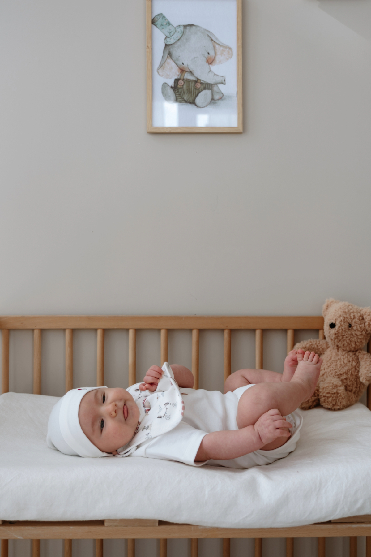 Oh La La Koala For Little Ones Sirk Serisi 4lü Yenidoğan Set (0-3 Ay) fotoğrafı 5 (önizleme)