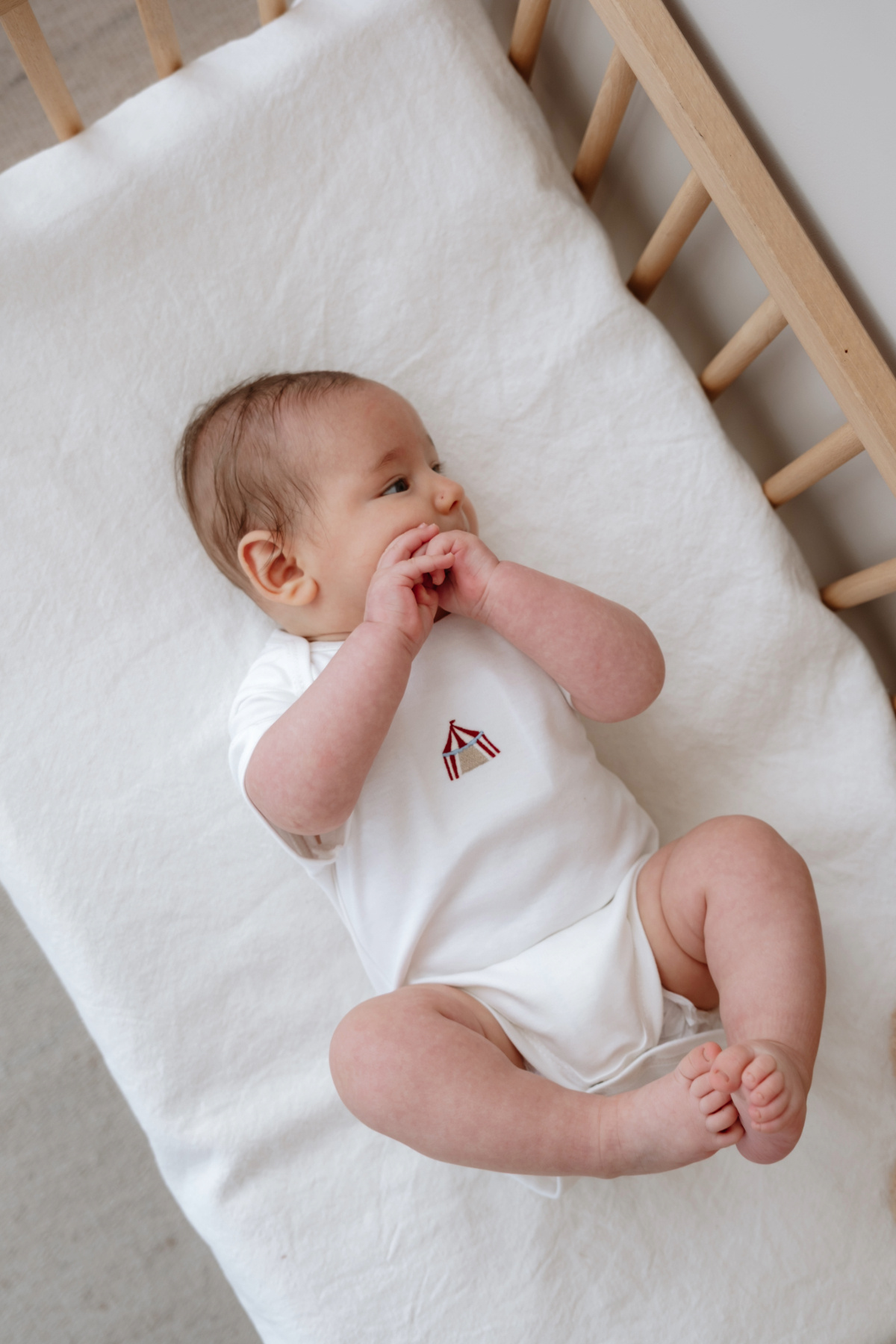 Oh La La Koala For Little Ones Sirk Serisi 4lü Yenidoğan Set (0-3 Ay) fotoğrafı 4 (önizleme)