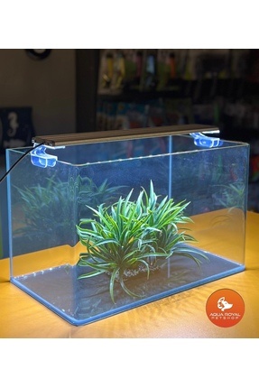 AQUA ROYAL PETSHOP Ultra Clear Nano Akvaryum – Haqos LED Armatür Aydınlatmalı...