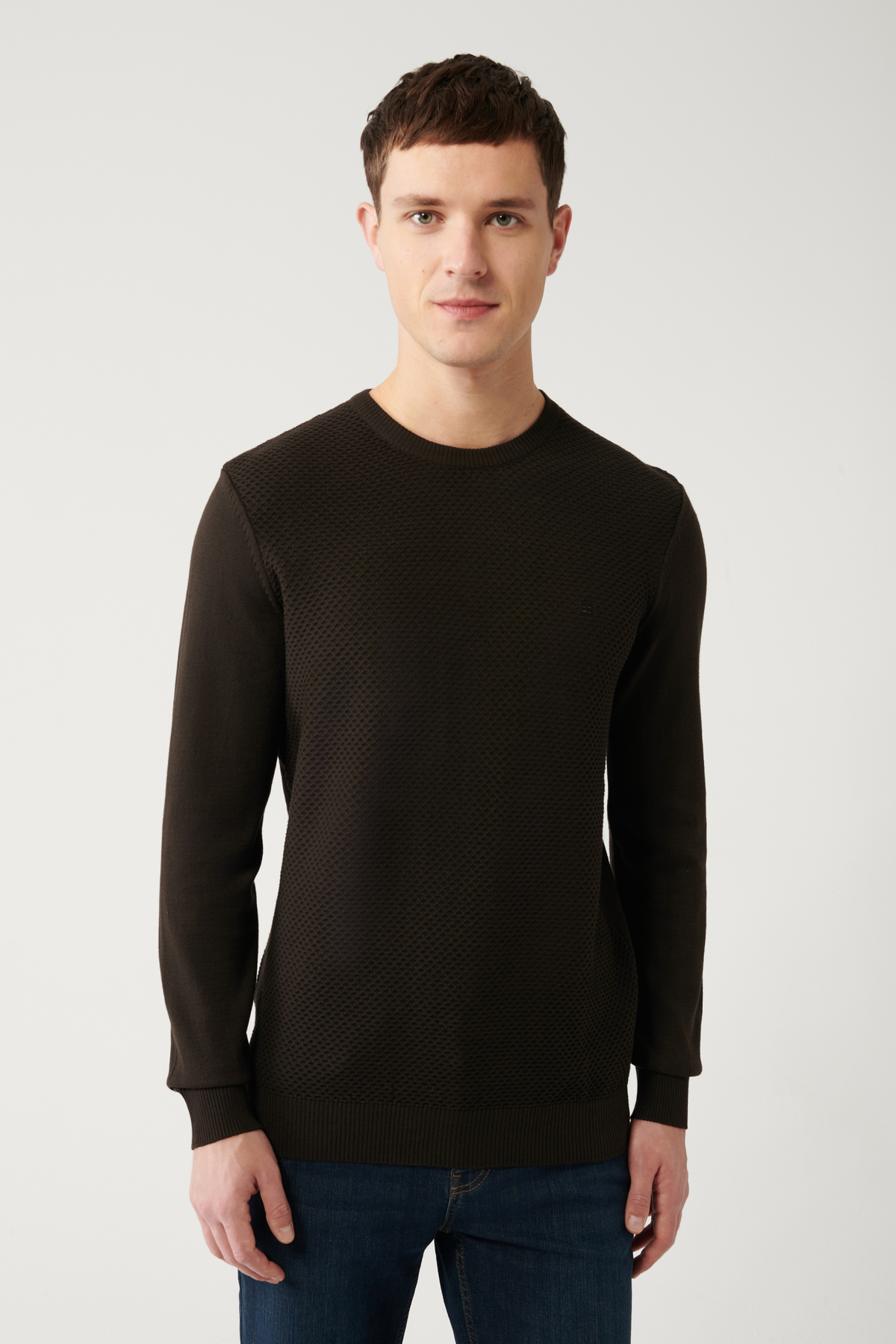 Avva  Erkek Kahverengi Bisiklet Yaka Pamuklu Triko Kazak E005105 - Görsel 3