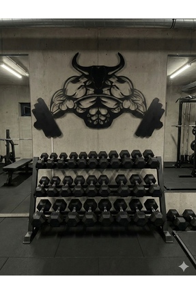 Iron Spirit Design Spor Salonu Dekorasyon
