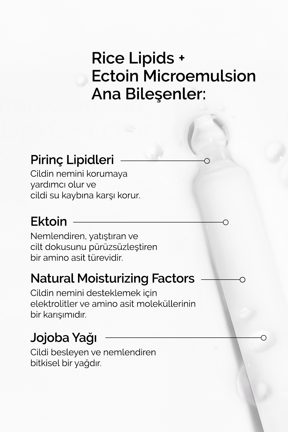Rice Lipids + Ectoin Microemulsion - Nemlendirici Emülsiyon 120ml — D3BJ01 — تصویر 6 از 8