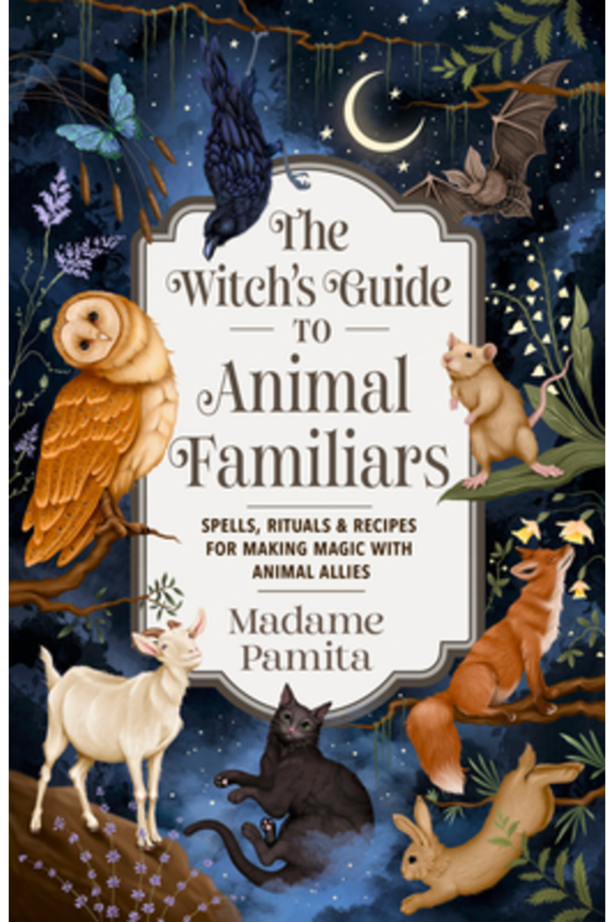 Hay House The Witch's Guide to Animal Familiars: Spells, Rituals ...
